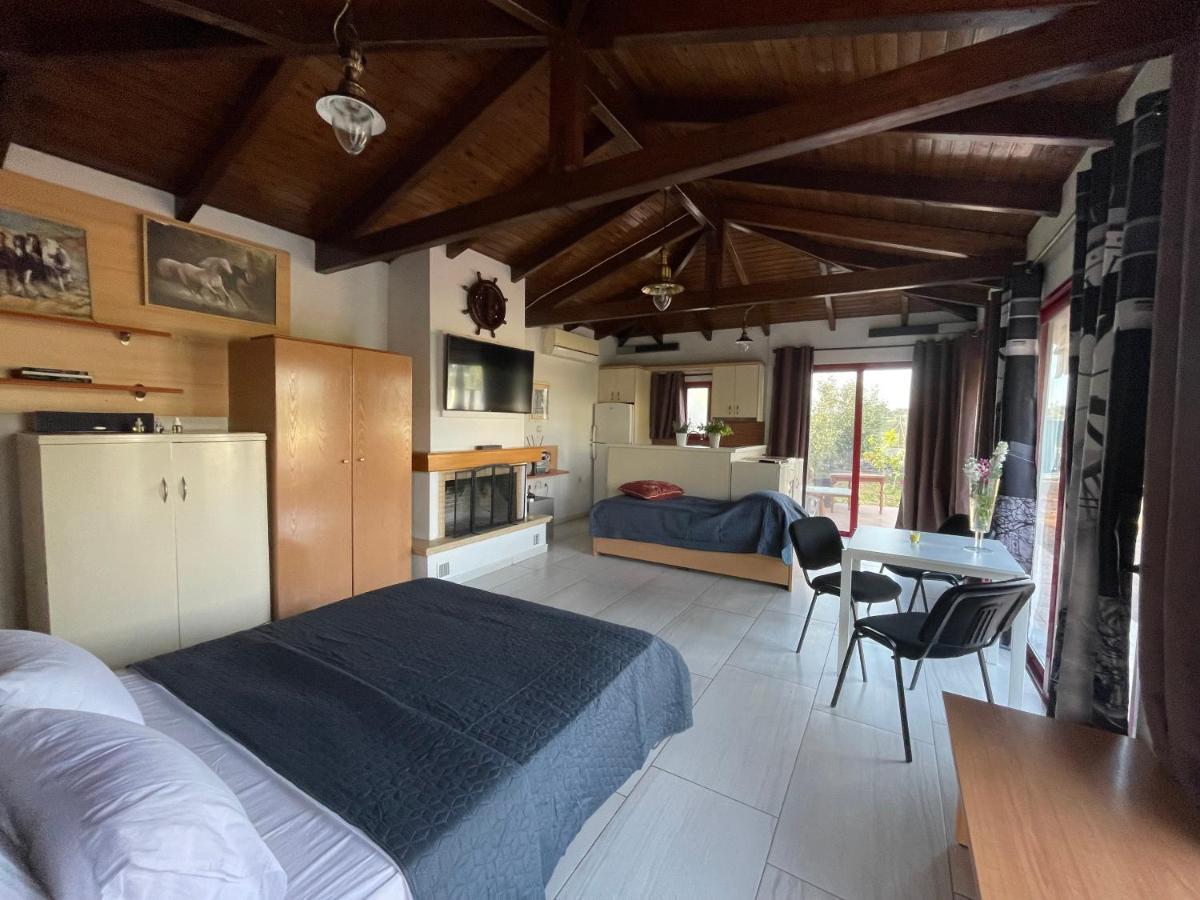 Country Lux Apartment Near Airport Markópoulon Exteriör bild